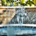 WCD FOUNTAIN CLOSE UP.jpg